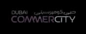 UAE Banking Partner Logo